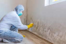 Best Industrial Mold Remediation  in Jackson, OH