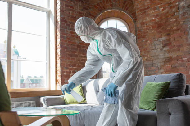 Best Mold Odor Removal Services  in Jackson, OH